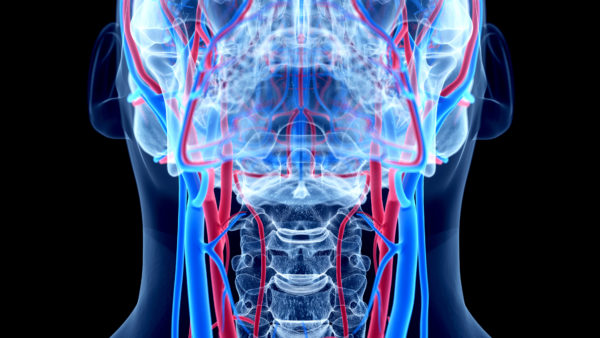 Non-Fatal Strangulation Proforma (IFAS – July 2024)